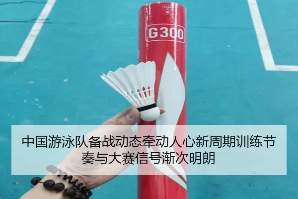 中国游泳队备战动态牵动人心新周期训练节奏与大赛信号渐次明朗 - kaiyun